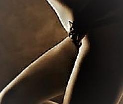 Sex cams model avatar pic - antonella_kiss