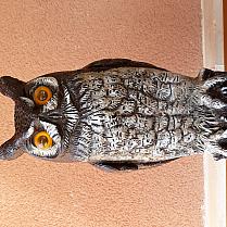 Sex cams model avatar pic - Amadorxx1168