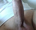 bear_89