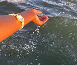 Sex cams model avatar pic - SexyGusher